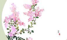 承天寺夜游感悟：关于友情的深刻句子探索与思考