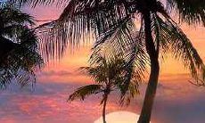 生命中最珍贵的财富——亲情,带给我们关乎生活的宝贵启示录