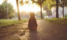 令男人心碎绝望的伤感句子，让人心痛不已