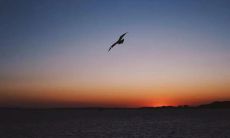 一份寄予自我疲惫心灵的励志语录