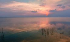 称赞老师辛勤耕耘的16句佳句 讴歌老师付出的赞美之词