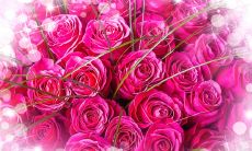 多彩生活中温暖感人的亲情:一些简短却优美的表述