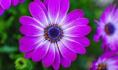 无限激励心灵的充满激情的励志名言,鼓舞人心,激发无限创造力!