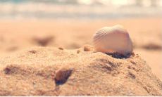 无法挽回错误决定带来的悔恨和痛苦的表达方式