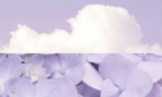 超受欢迎的抖音土味情话，让你甜蜜蜜地遇见真爱！