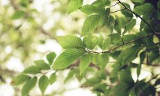 经过岁月沉淀,依旧意蕴深厚——难忘的童心语录