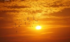 拥有广博胸怀的座右铭：从宽容包容到助人为乐，成就优秀人生的秘诀