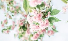 渐浓渐厚的亲情:展现不断加深的亲情感受的描述