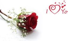 2022七夕情人节,用短信表达浓浓爱意的祝福与情话大全