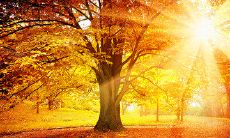 周末短信问候客户：在繁忙的生活中追求人性化关怀与维护商业关系的有效策略