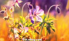 感人至深、充满亲情温馨的句子,打动人心