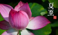 夏至来袭，带来清新感受的文案推荐