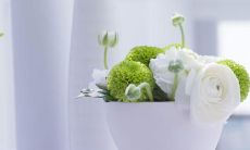 古风唯美句式炫彩，叙述亲情的句子写盛世风华，缠绵悱恻，恰如春风拂面，夏日荷香，秋叶飘零，冬雪凝结，给人深情厚谊，珍爱生命的美好开启