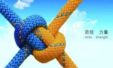 用于团结的经典名言和格言汇总