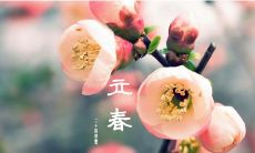 多样的立春祝福语：简洁而有力的表达新季节的希冀和祝福