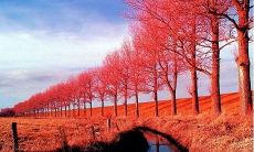 51句你毕业了却不舍离开学校的句子汇编，让你感受毕业离校的无尽留恋之情