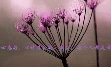 一起为中国奥运健儿加油吧——发表支持言论!