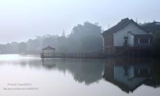 用诗情画意的句子打动心弦