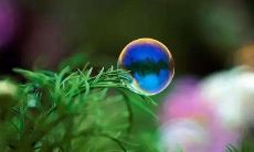 探究朋友们座右铭的意义，及其对我们每个人生活的启示和意义