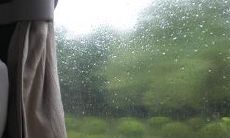 富含失望情绪的句子，描写一人对特定事件的失望感受