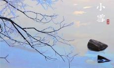 一些关于小雪的描述和句子，让你对这个季节有更深刻的了解