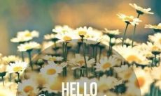 迎接九月的友好句子：展现你的生活、表达你的情感、传递友谊的精髓