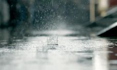 经典情感语录:每句都切中心灵,深深触动内心的情感力量