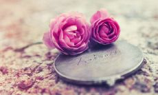 让心灵深处荡漾的爱之唯美句子，让你惊艳于爱的美丽与力量