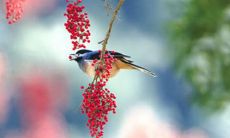 2022年最全的朋友圈儿童节快乐祝福说说大合集，让您送给每个孩子独特的祝福，传递温暖与关怀！