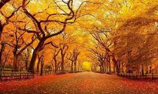 如何创作押韵的古风句子表达亲情之情？