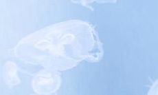 感触深刻的亲情抒情句子，让我们感受家人之爱之深，亲情之美之重！