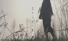 心灵破碎句子的惨淡失落:处理无助和挫折的方法