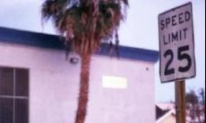 探寻朋友圈中的诗意短句,诗意浸润生活的瞬间趣味漫长