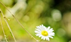 似乎在现实中,亲情总是让人倍感疼痛的那些句子