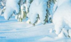 有关在下雪时感到开心的一些句子,使您感受到冬天的神奇和美好