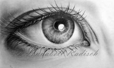 一些关于眼睛和视觉的有趣事实、医学信息、文化象征以及保护眼睛健康的实用建议