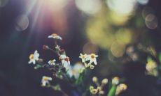 一些有关表达亲情的英文纹身句子：为家庭爱盎然、珍视亲情并彰显爱、传达深情厚意的亲情英文纹身语句