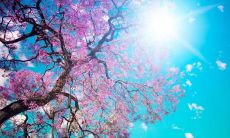 如何每天用群发短信问候方式保持联系？