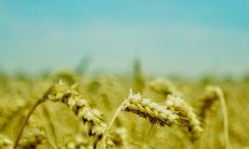 表达内心感受的亲情正能量句子，欢愉温馨渗透全身