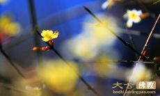 用于展示真诚和信用的座右铭