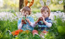 唯美绝伦的手足之情:感人句子集锦