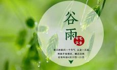 【谷雨节气来临,让我们分享感悟】今天谷雨,分享一下你对这个节气的感悟和体会吧!