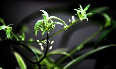 在商场中生意人的成功秘诀：奉行座右铭，保持坚持、诚信、勇敢和创新!