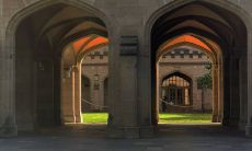 走红网络的持续流行且充满强烈个性的简短表达方式