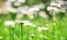 探究亲情的深刻内涵:那些令人动容、触动心灵的语句