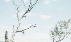 探究内心世界的表达方式:揭示内心疙瘩的语句与敞开心扉的情感表达
