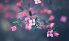 亲友关系中的话语:如何用言语平衡亲情和友情的重要性?