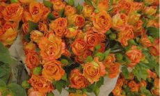 十月你好，致自己：迎接新季节，抛开旧习惯，成为更好的自己！