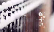 祝福语|欢庆十二月的首日,表达真挚祝福、展示感恩之心