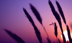 深刻表达，与女友分手后的共鸣和心境的分享